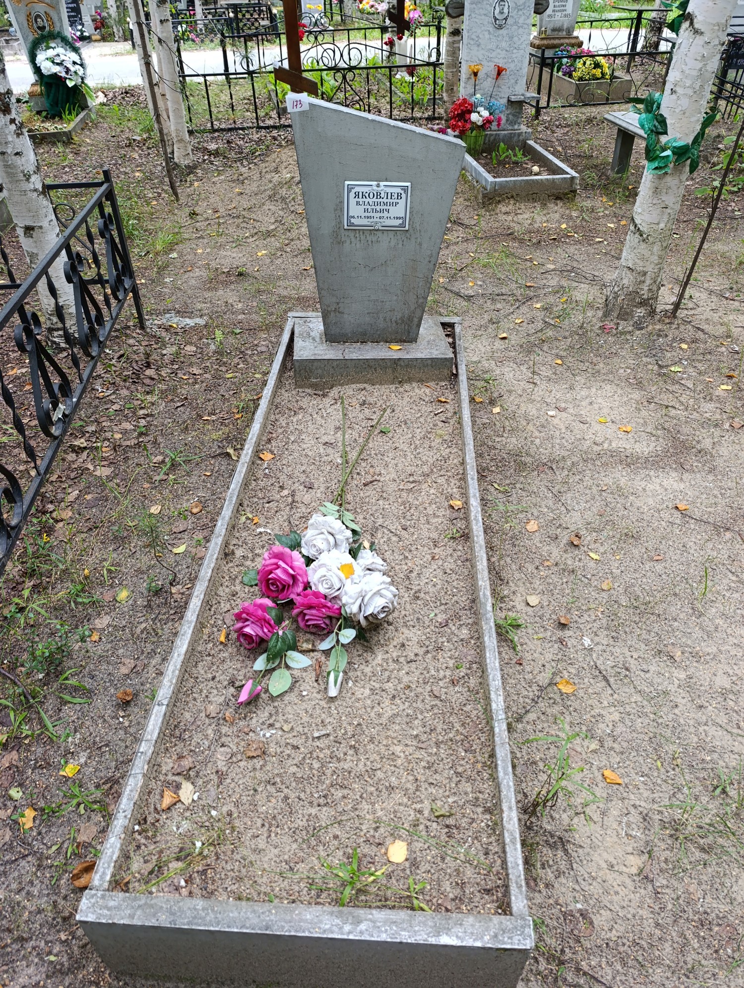 Яковлев Владимир Ильич