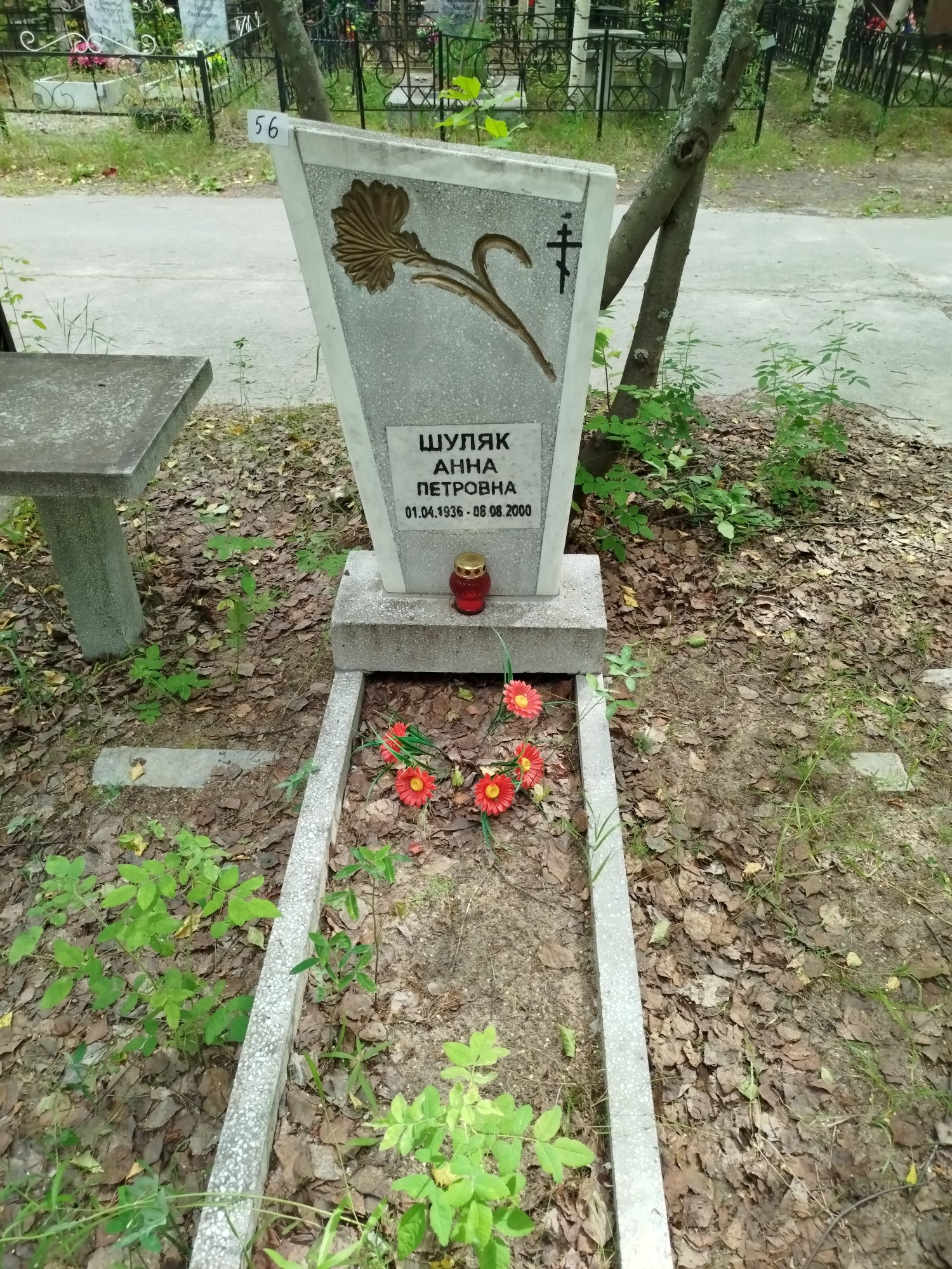Шуляк Анна Петровна