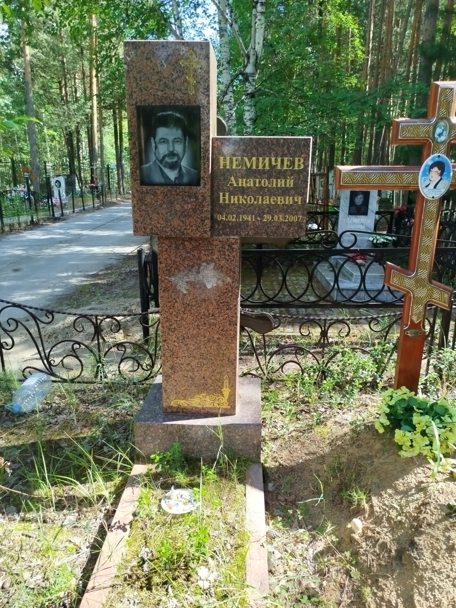 Немичев Анатолий Николаевич