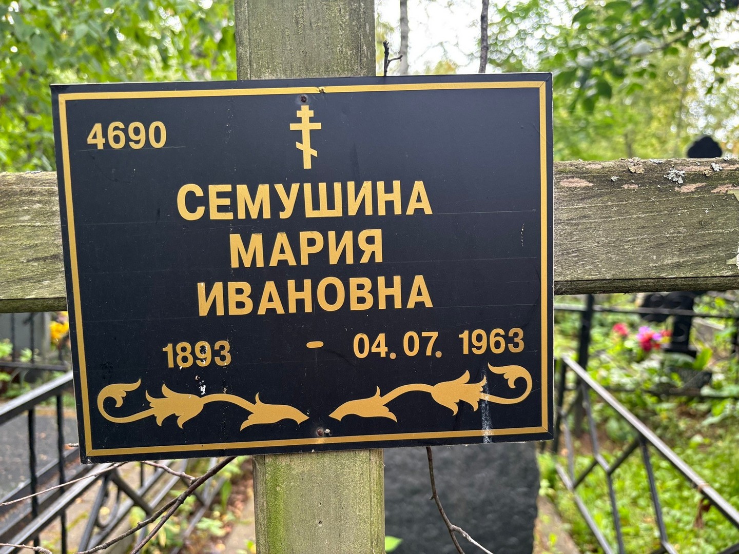 Семушина