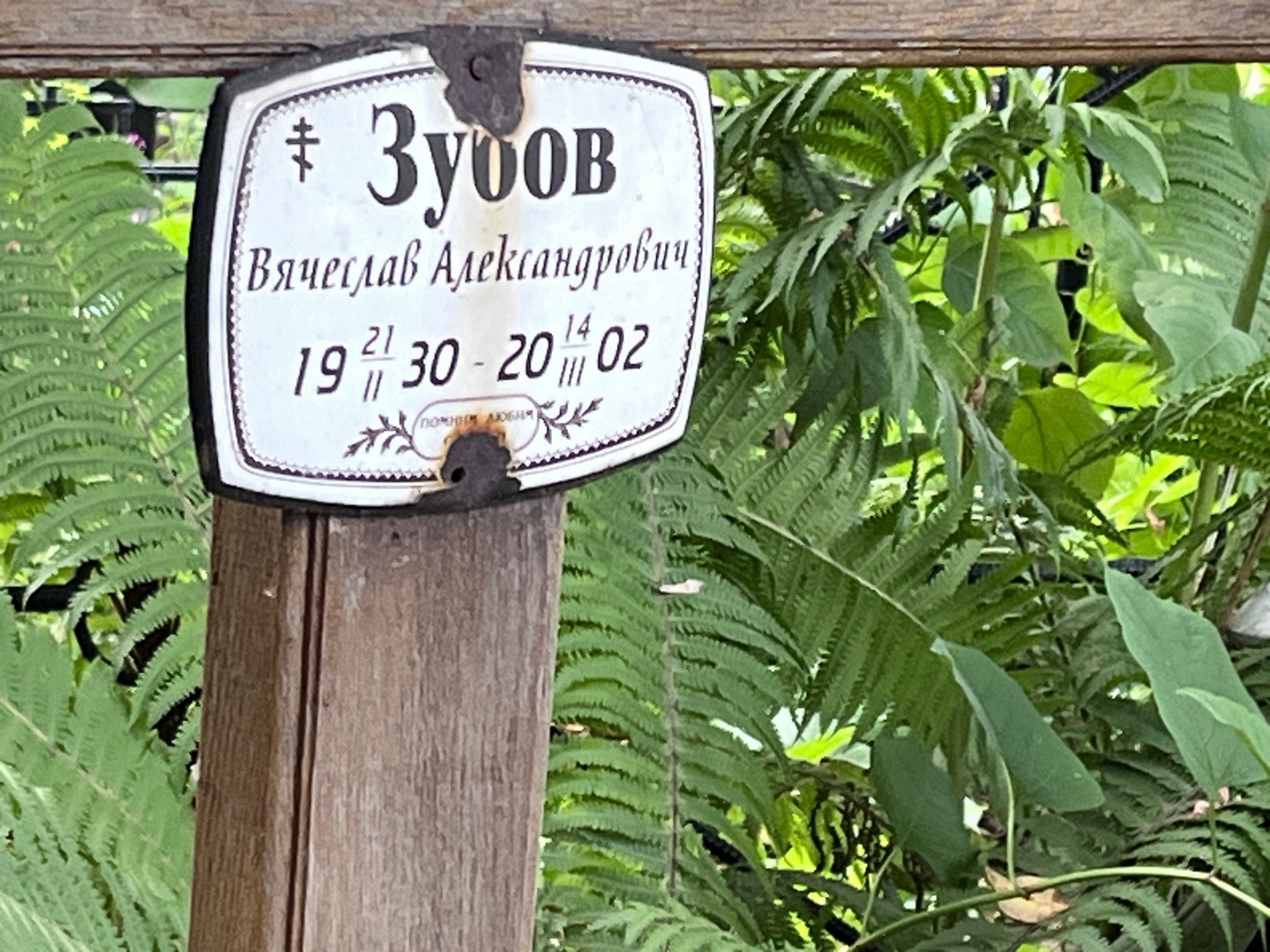 Зубов