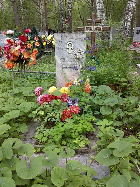 Попова Венера Михайловна