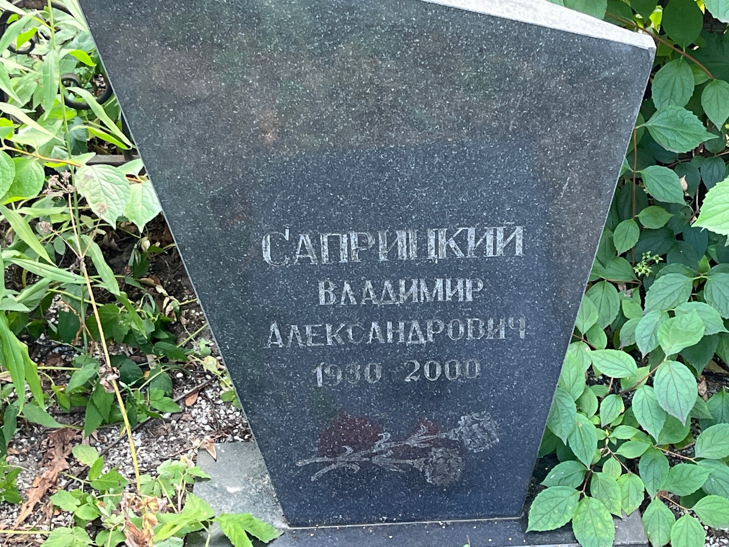 Саприцкий