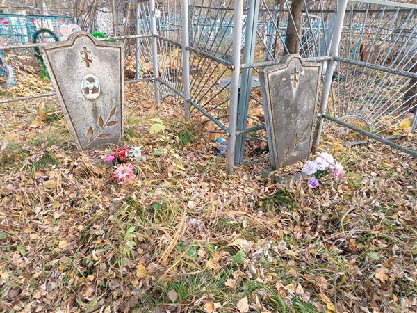 Родной Николай Ильич