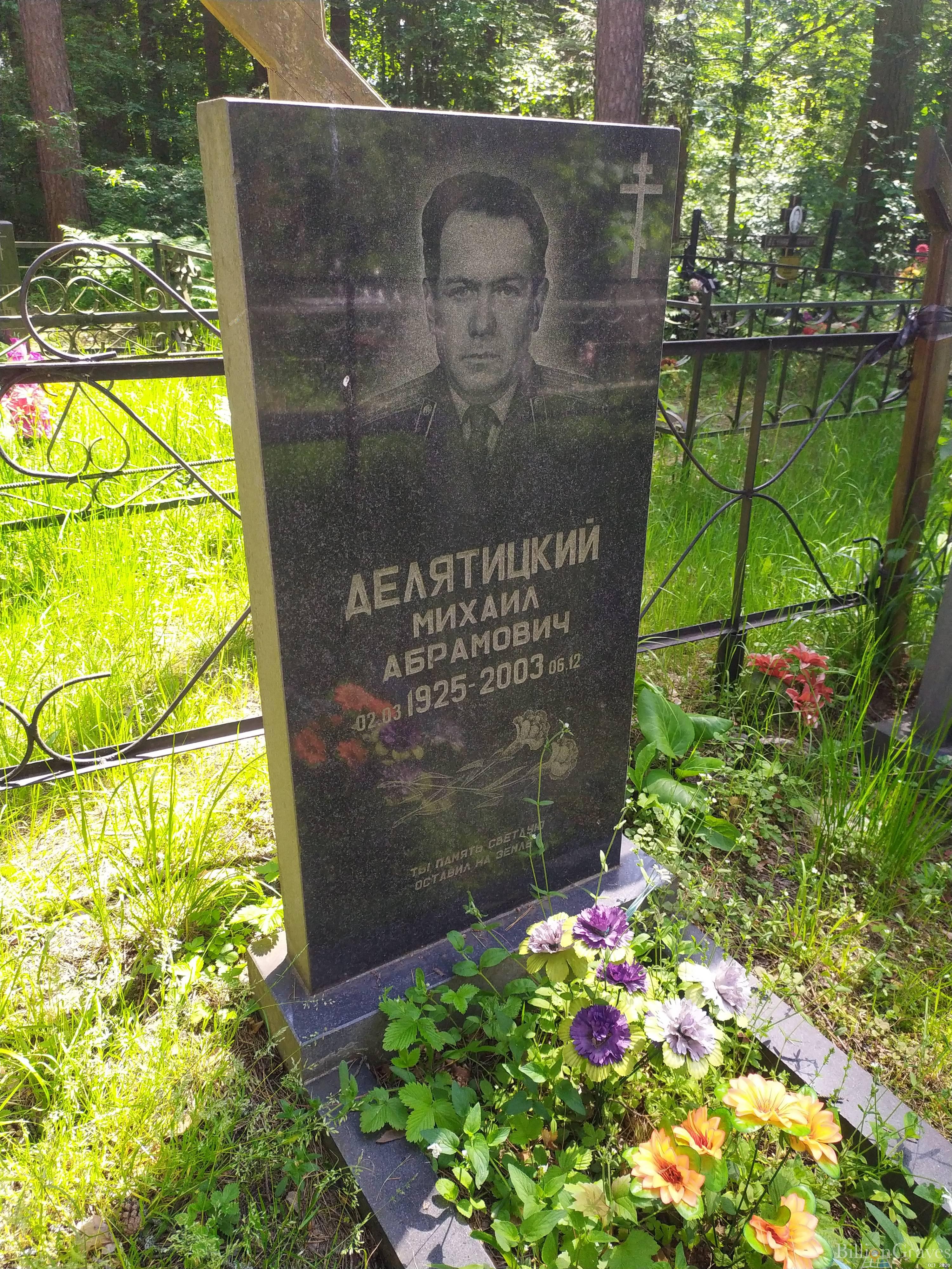 Делятицкий Михаил Абрамович