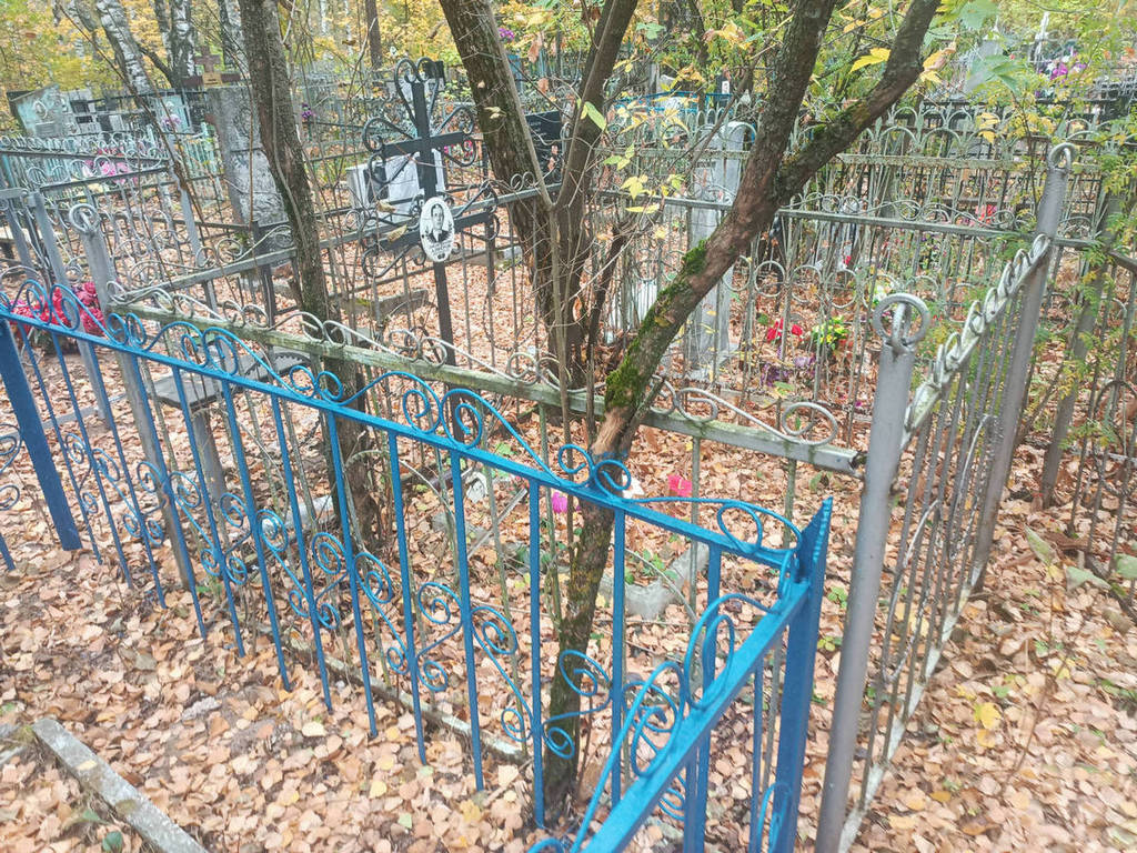 Алферов Александр Николаевич