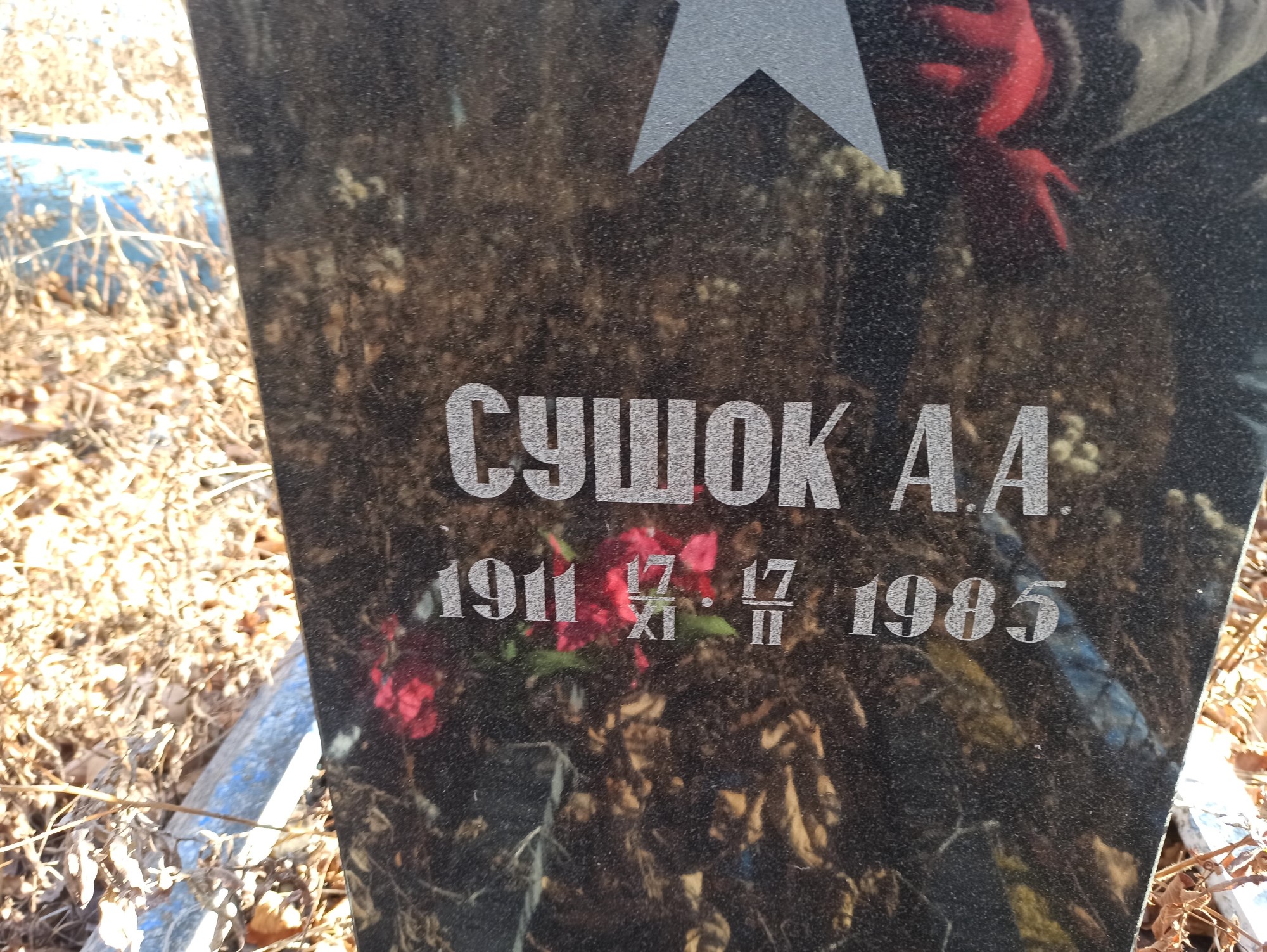 Сушок А А