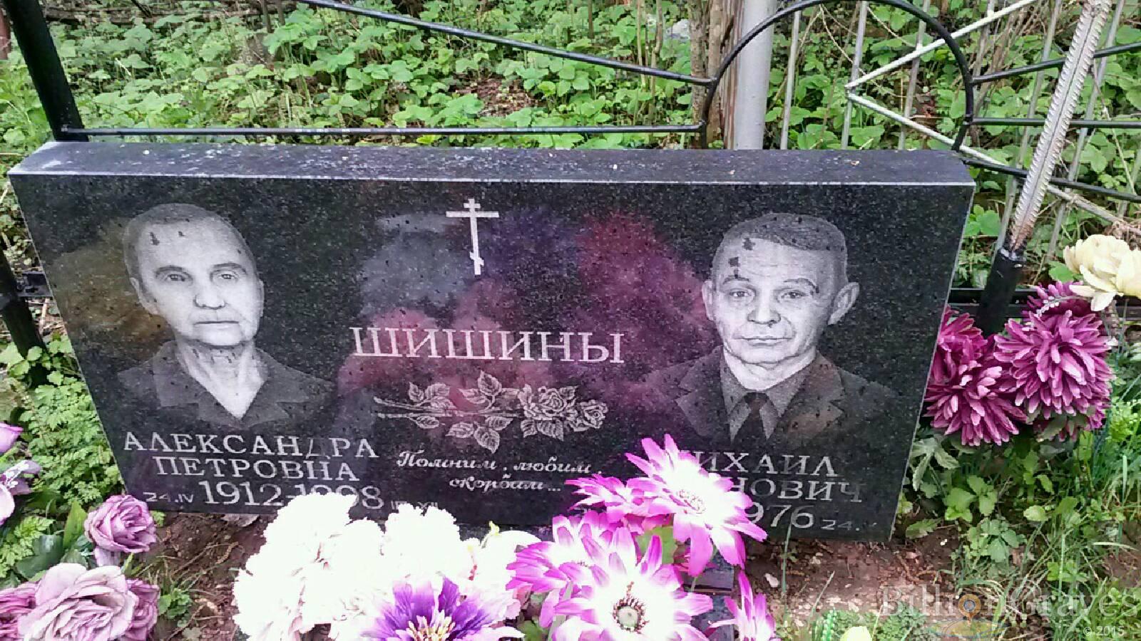 шишина александра петровна