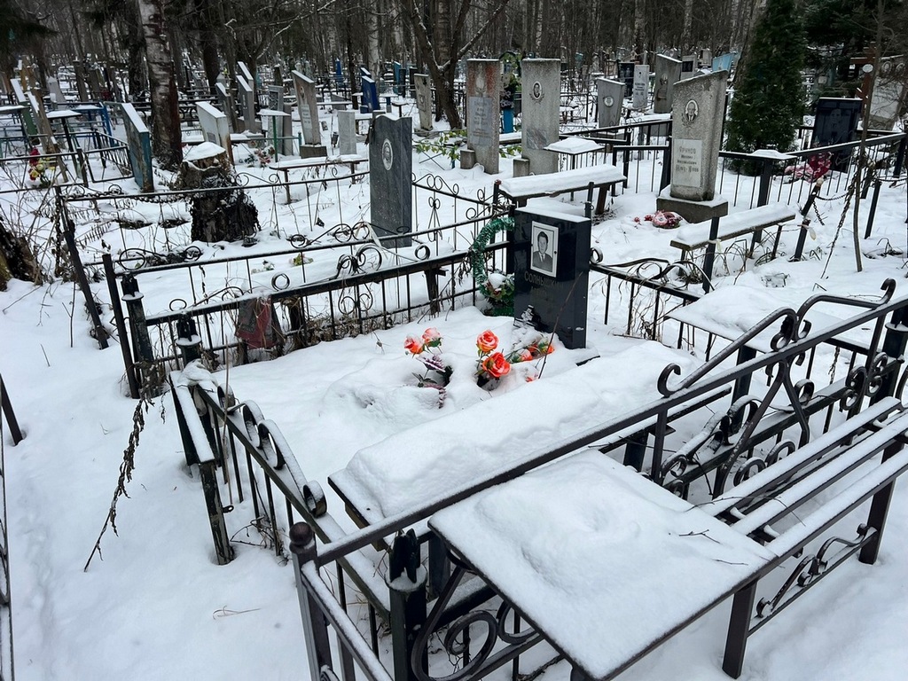 Солнышкин Александр Данилович
