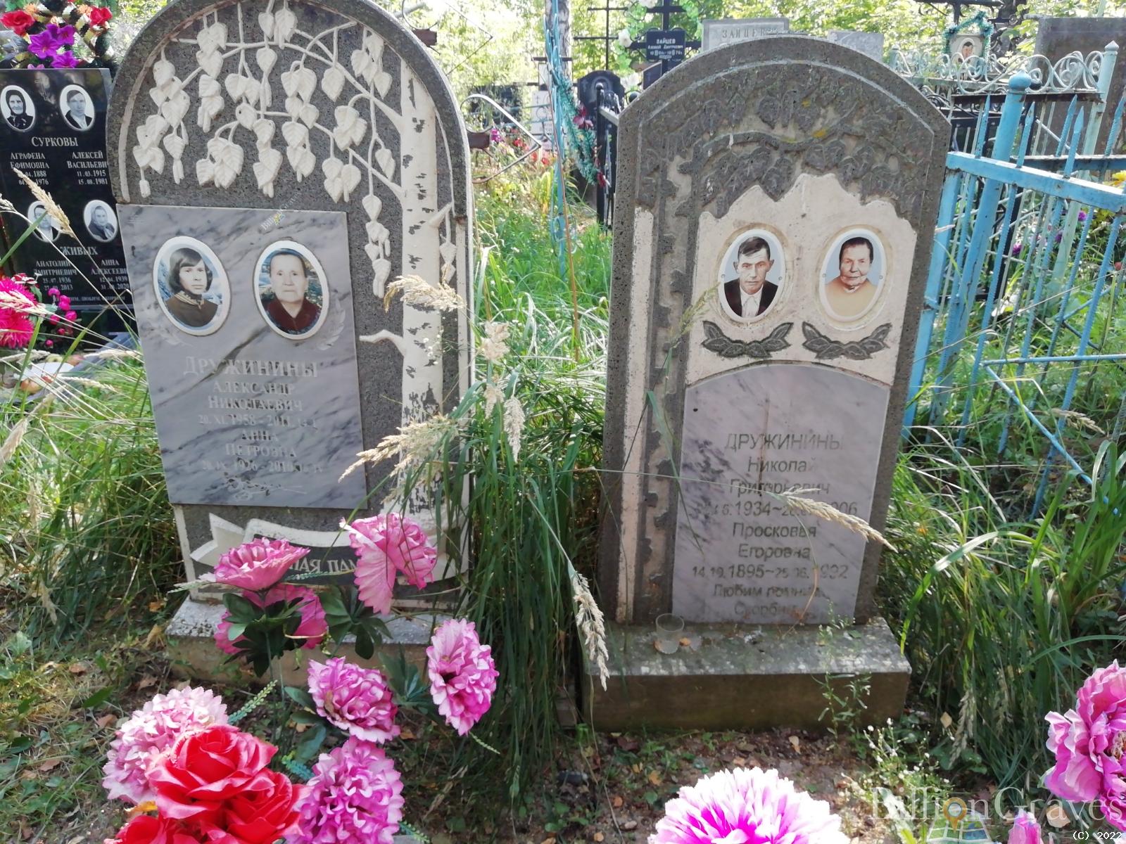 Дружинин Александр Николаевич