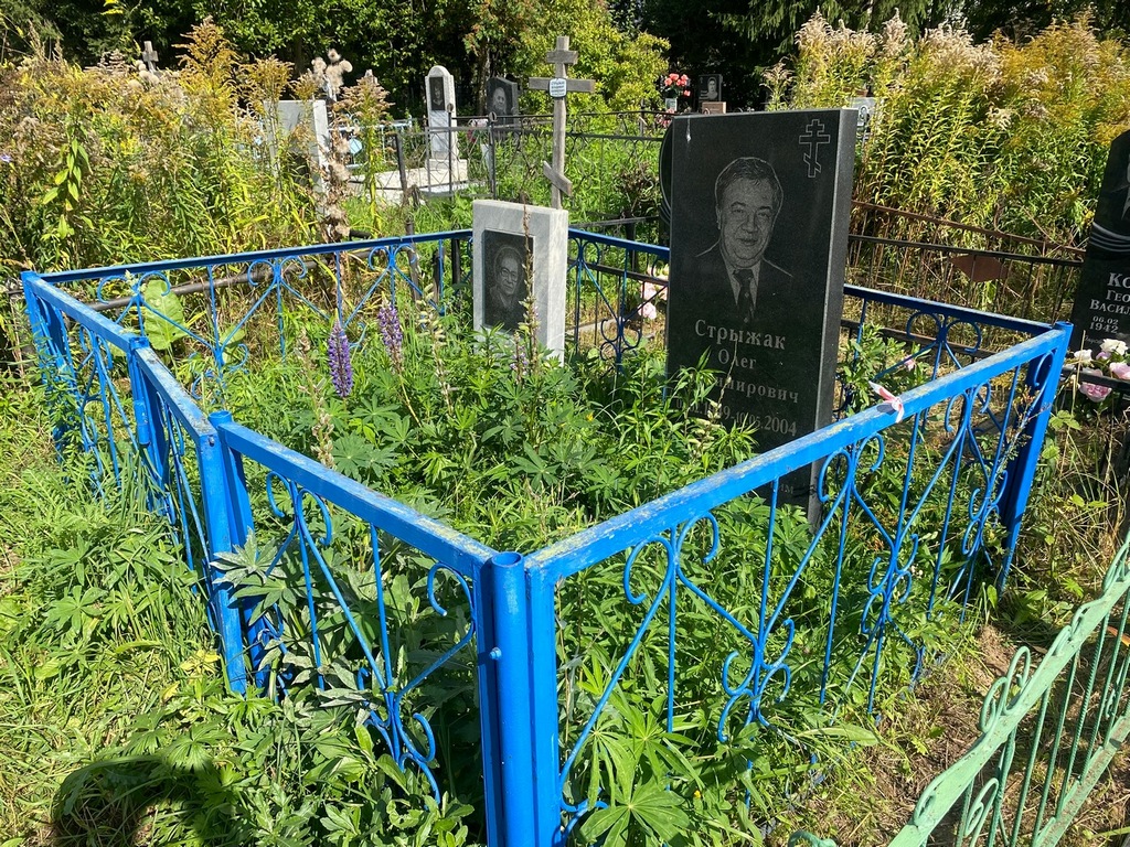 Стрыжак Олег Владимирович