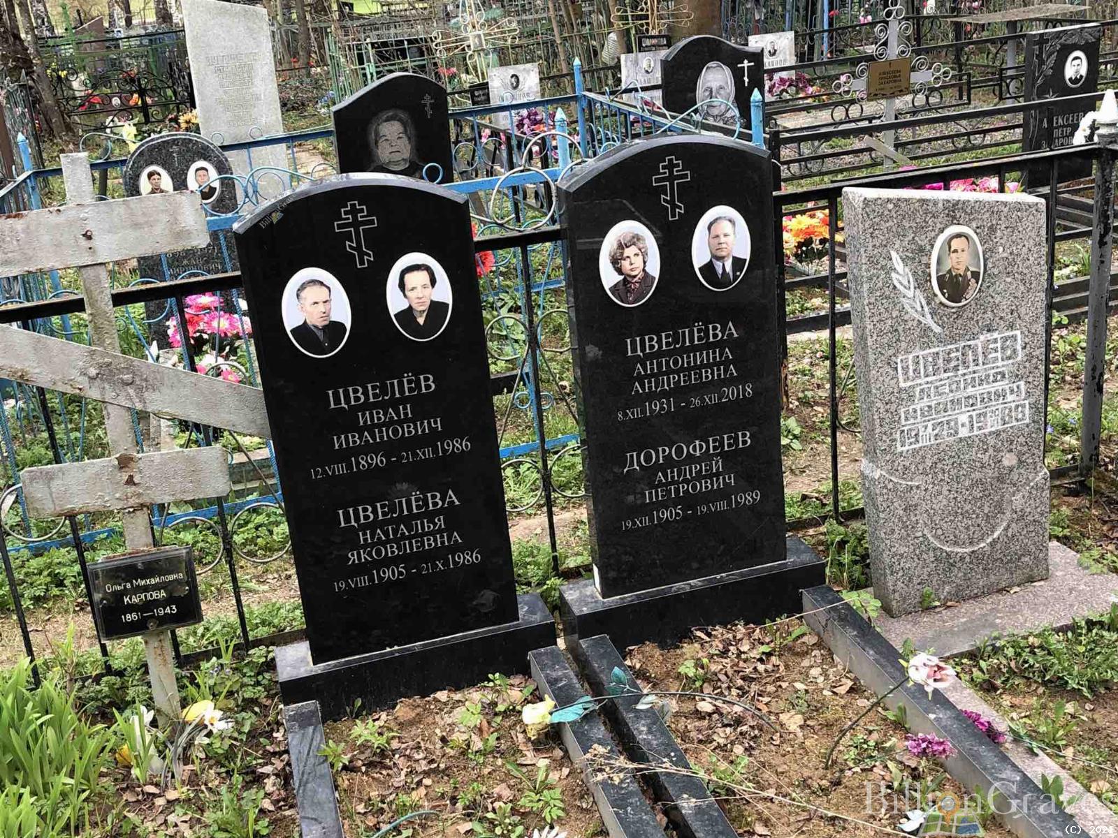 Цвелёва Антонина Андреевна