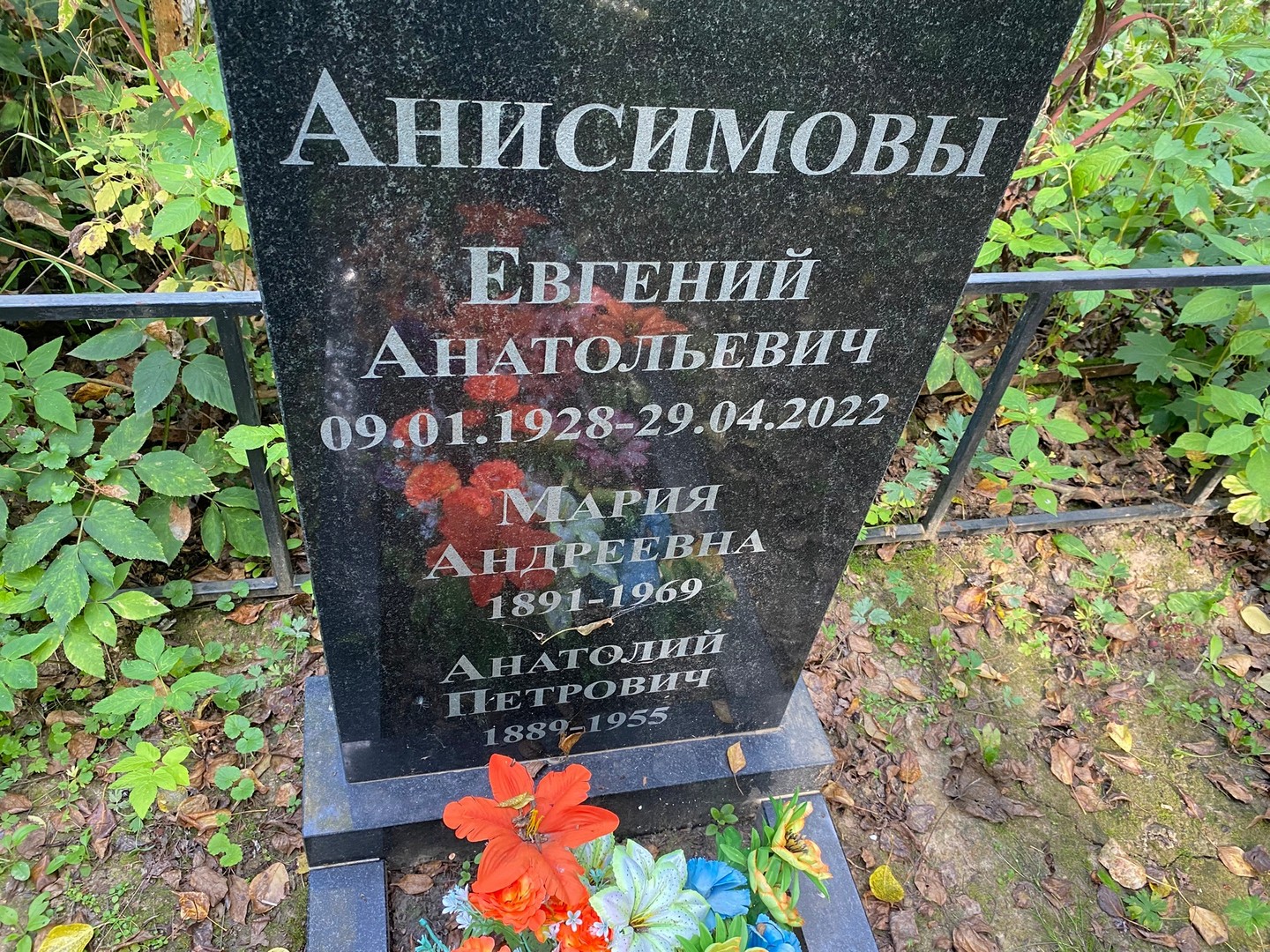 Анисимова