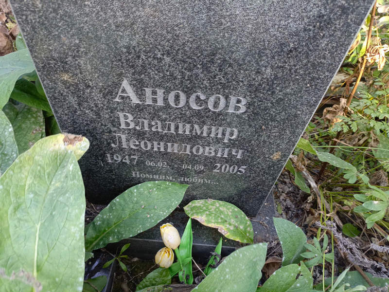 Аносов