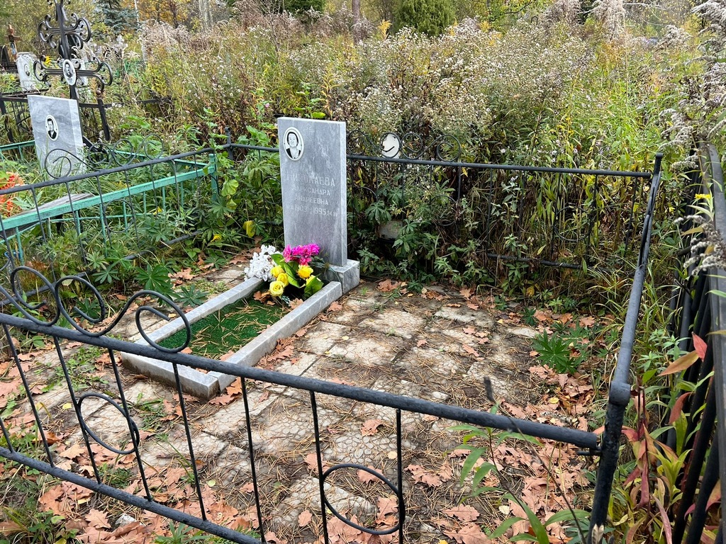 Николаева Александра Андреевна