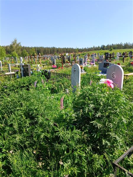 Леонтьева Наталья Владимировна