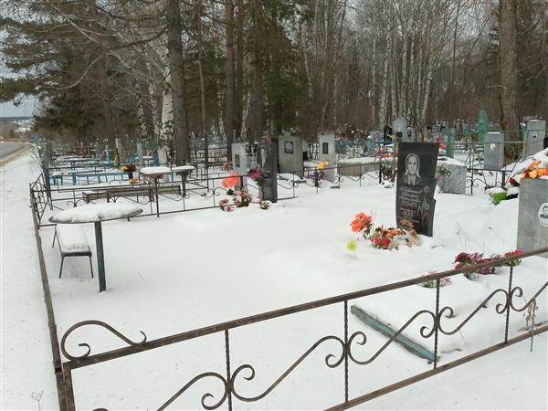Рыбников Николай Петрович