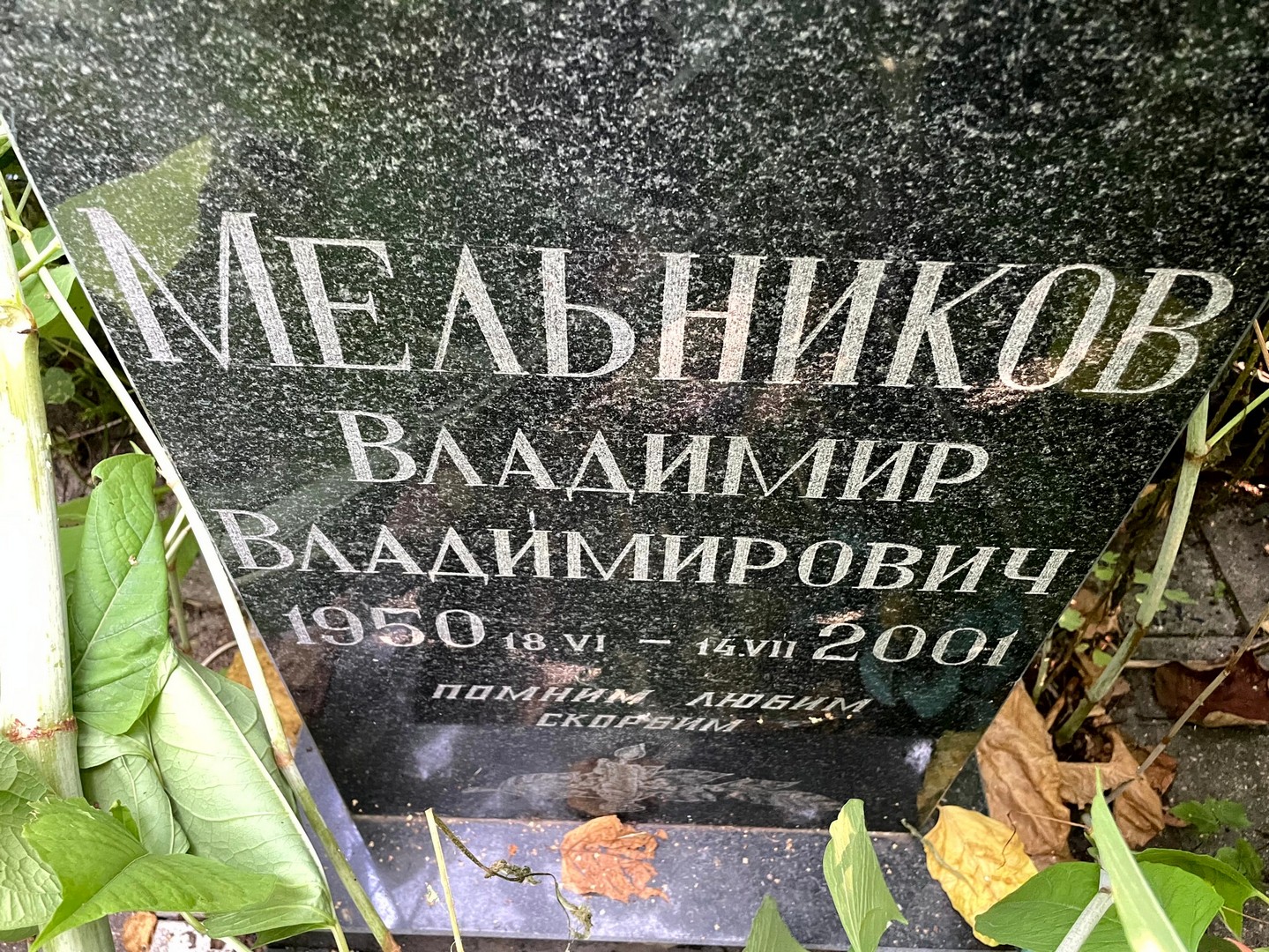 Мельников