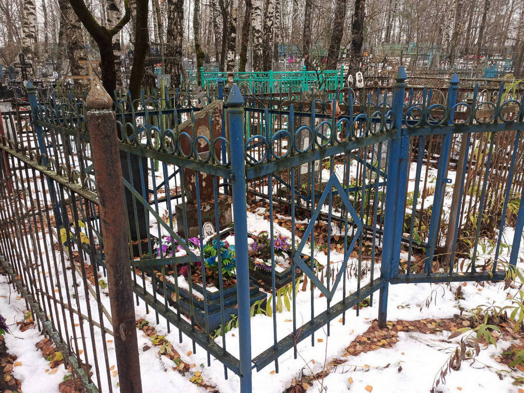 Галанин Николай Анисимович