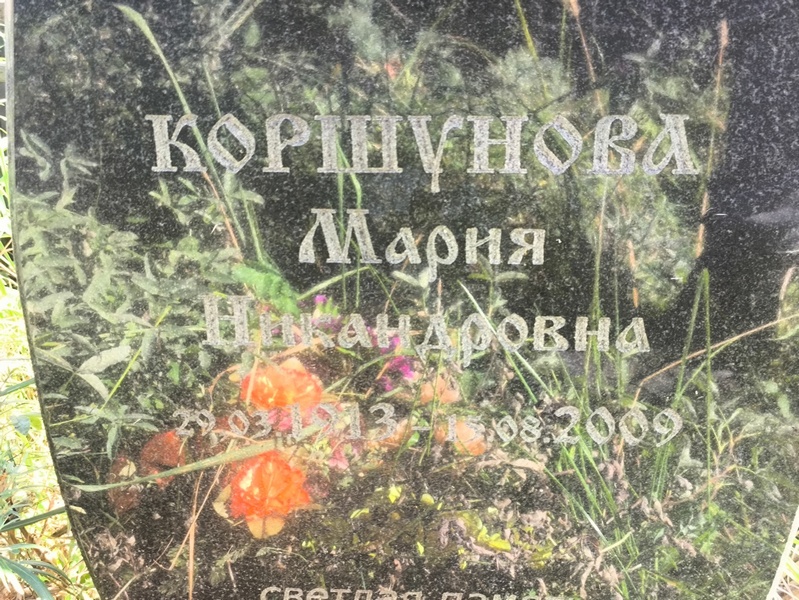 Коршунова