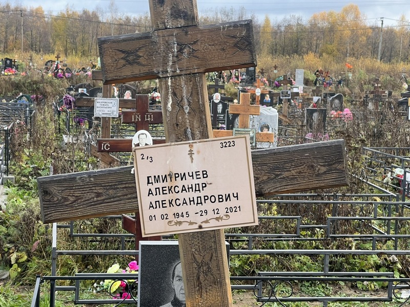 Дмитричева