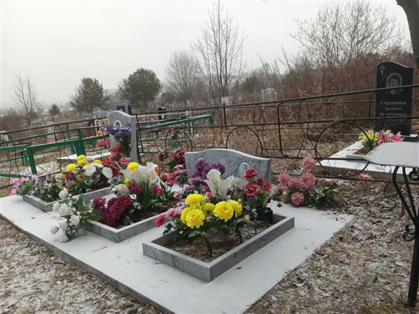 Логунова Александра Александровна
