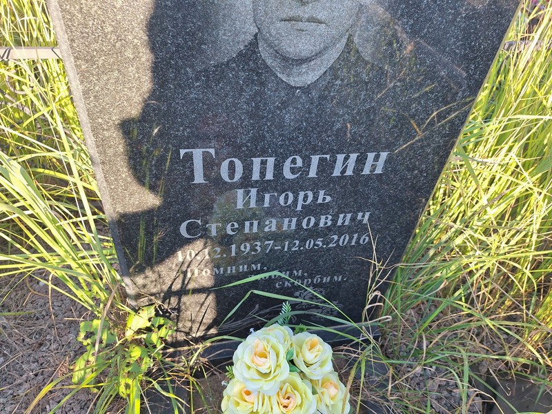 Топегин