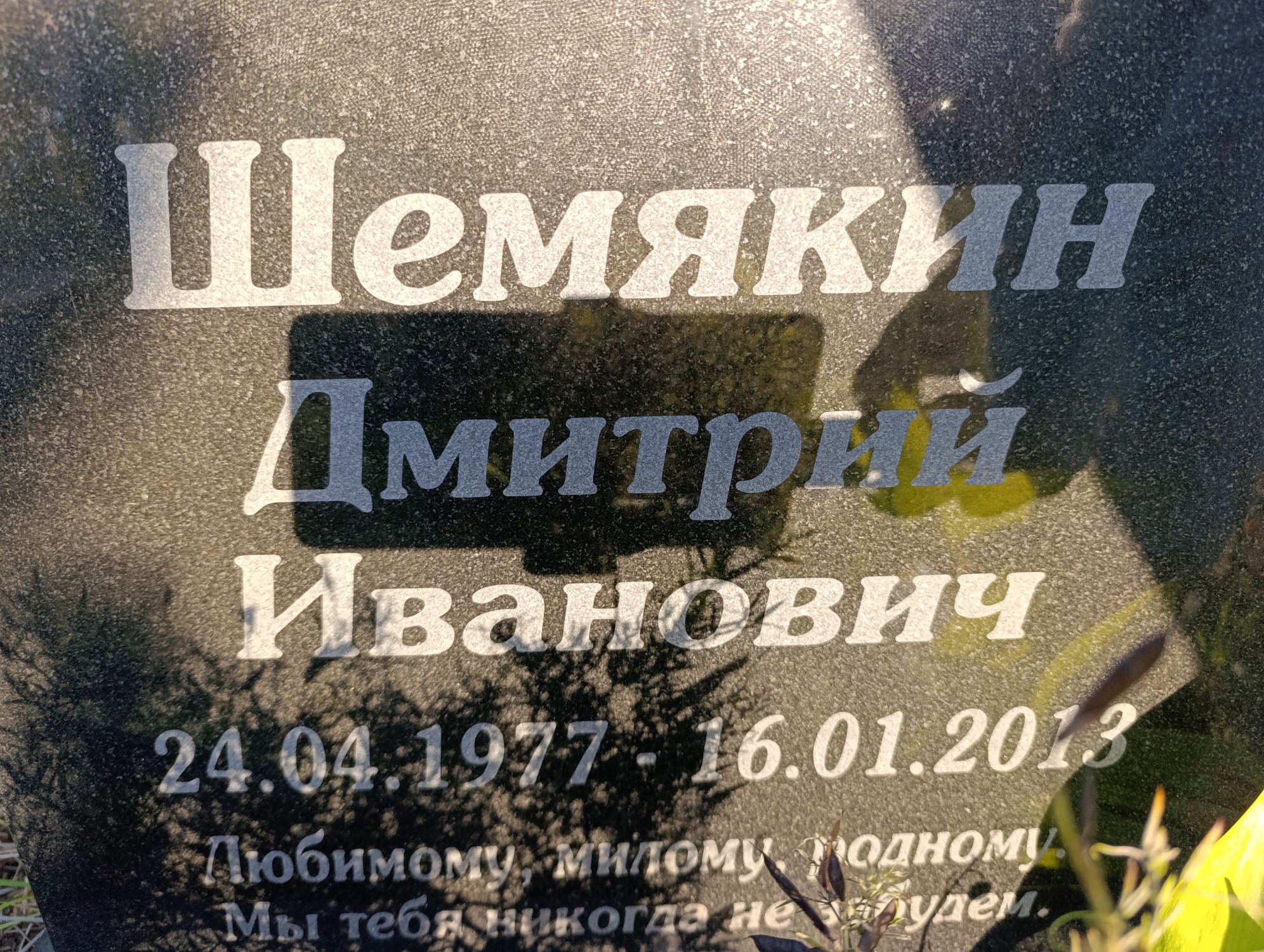 Шемякин Дмитрий Иванович