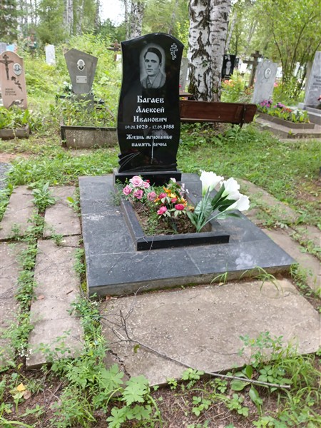 Багаев Алексей Иванович