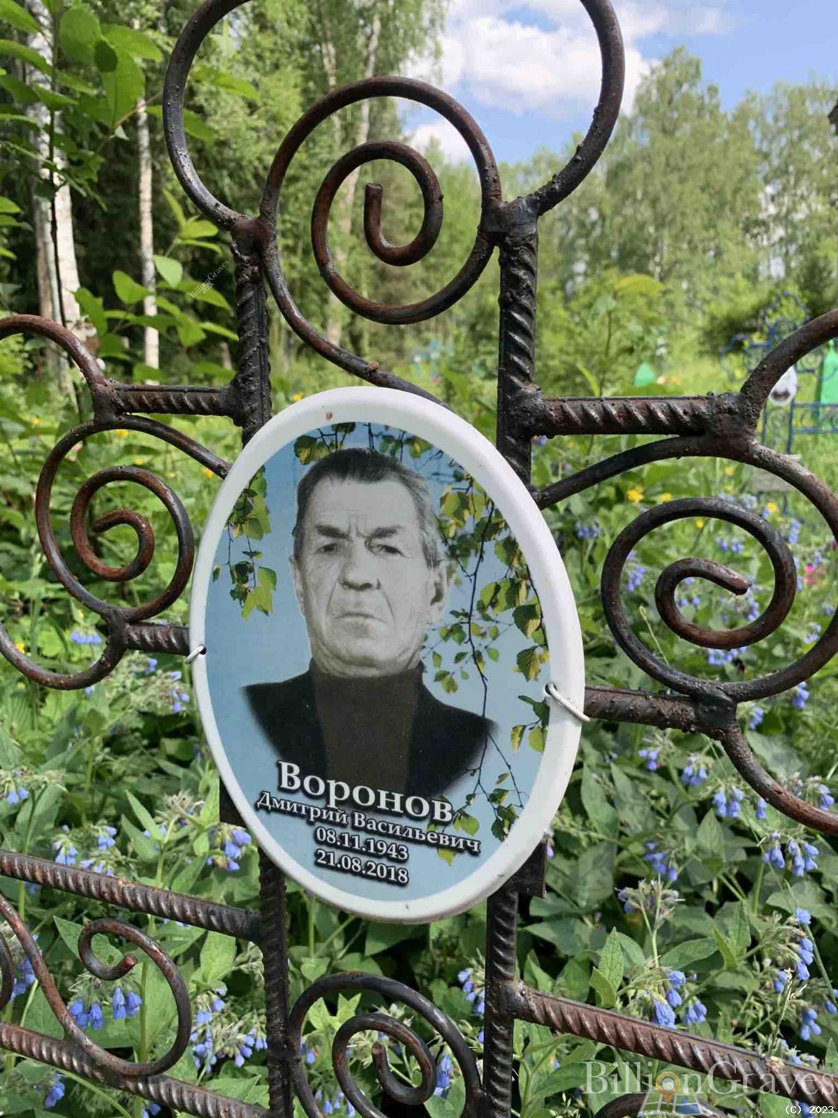 Воронов Дмитрий Васильевич