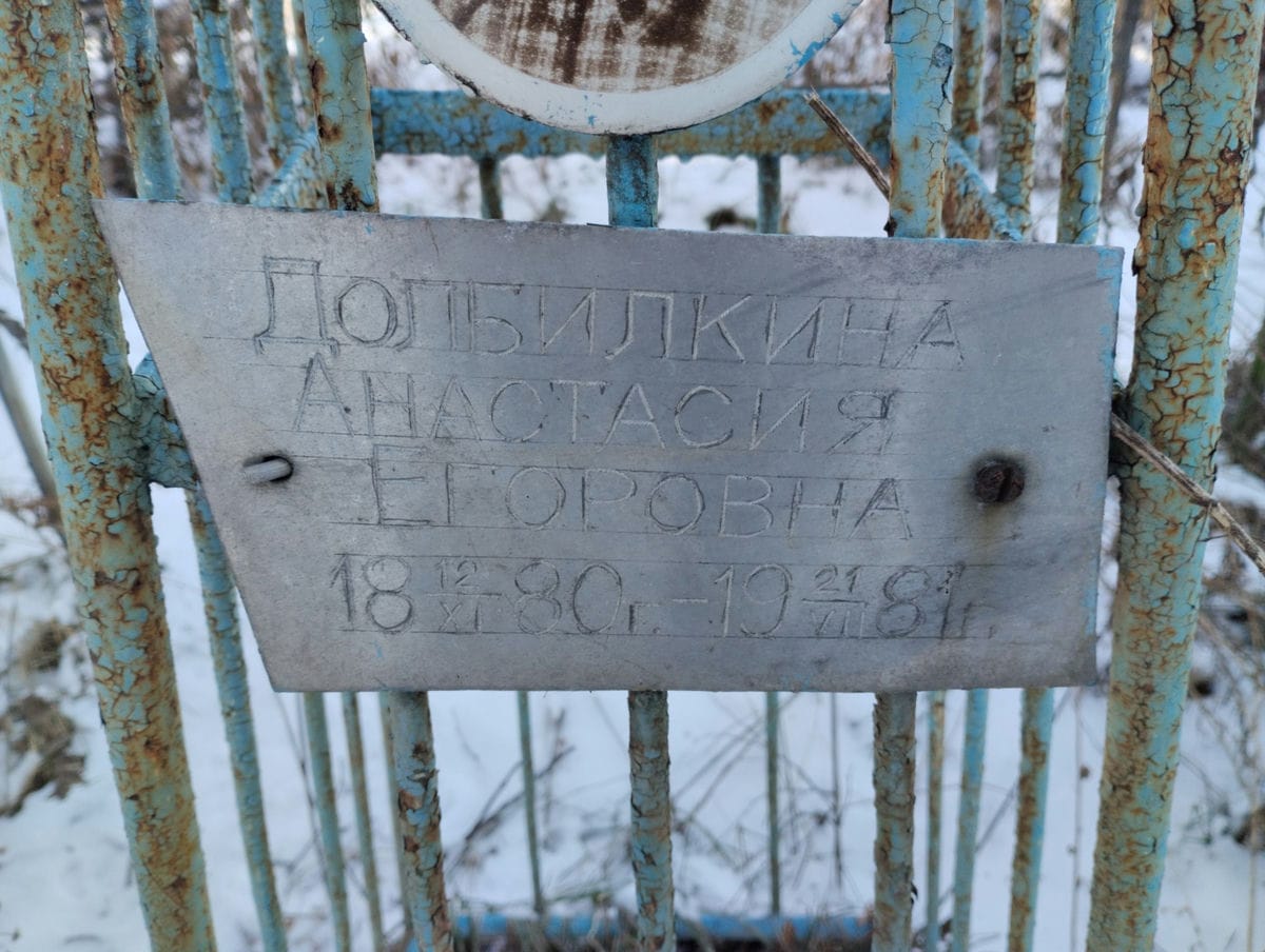 Долбилкина Анастасия Егоровна