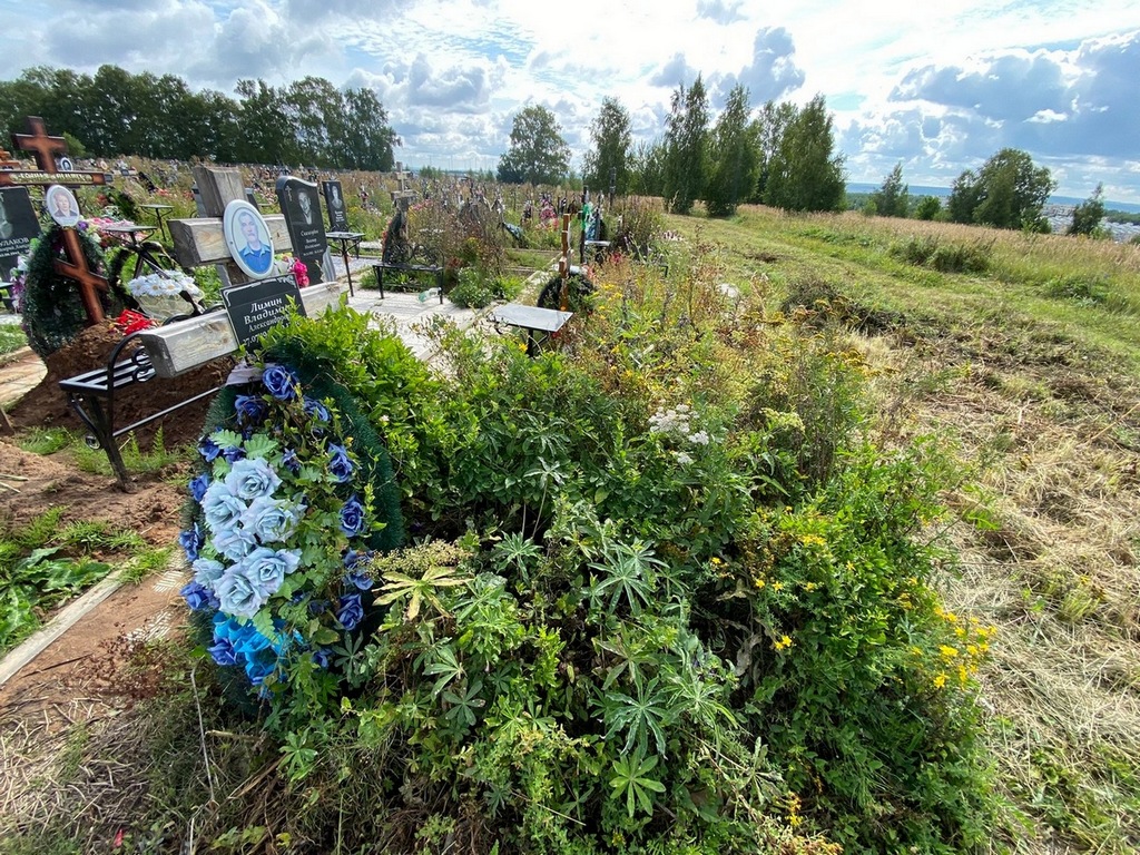 Лимин Владимир Александрович
