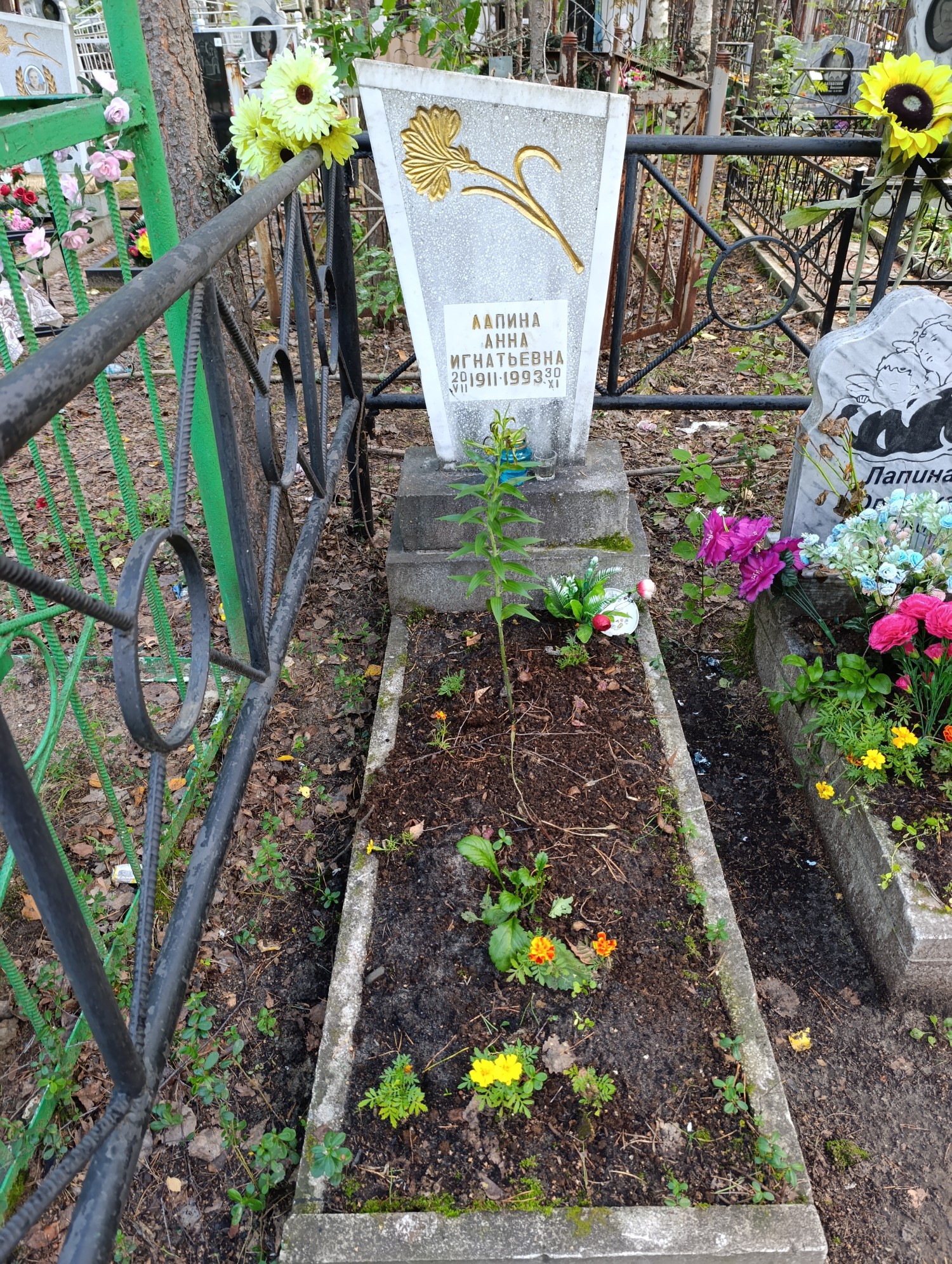 Лапина Анна Игнатьевна
