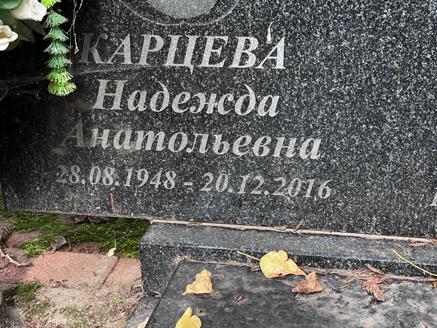 Карцева