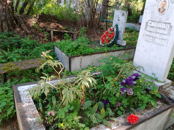 Сивков Анатолий Николаевич