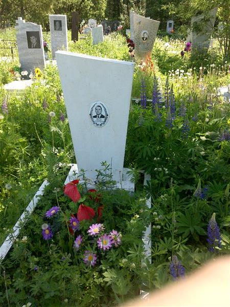 Нагибин Николай Александрович