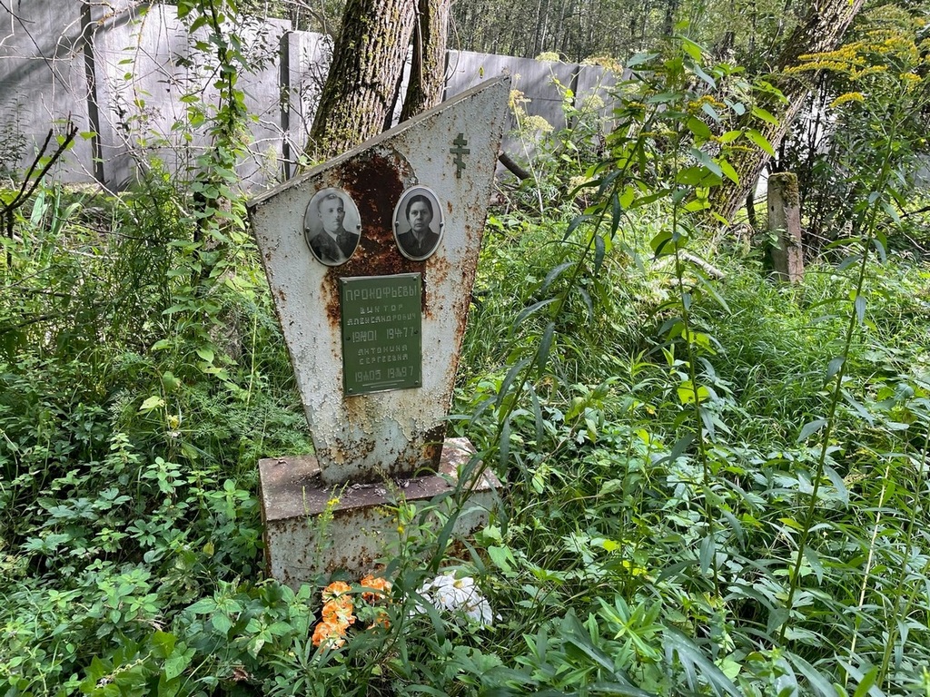 Прокофьева Антонина Сергеевна