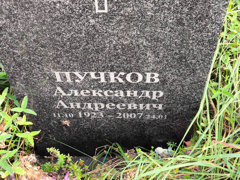 Пучков
