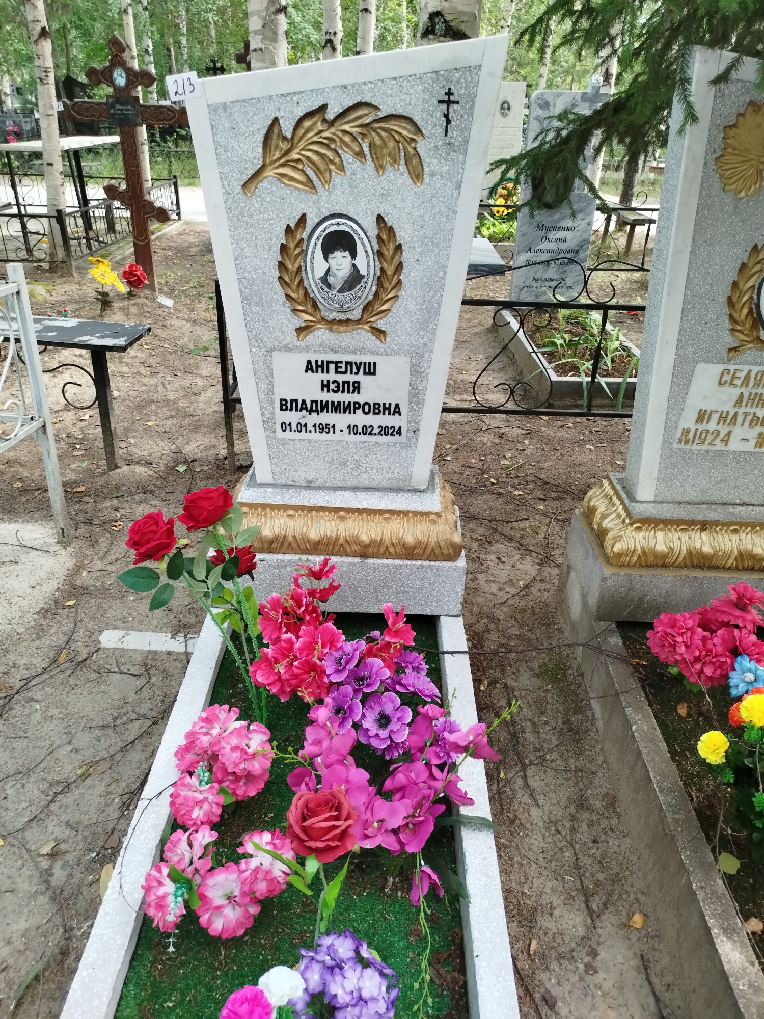 Ангелуш Нэля Владимировна