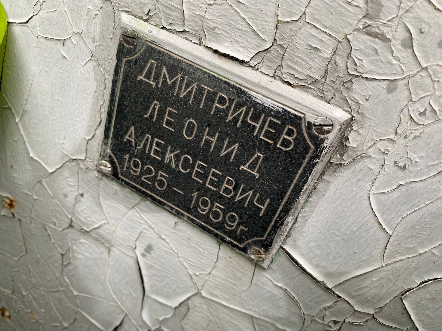 Дмитричев