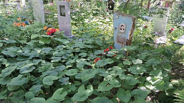 Бобров Анатолий Захарович