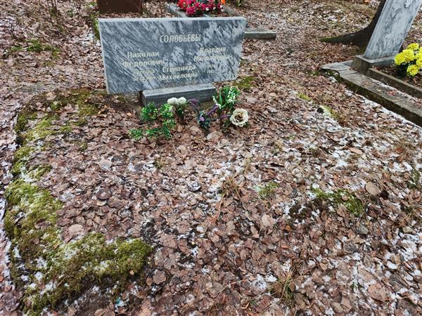 Соловьева Степанида Михайловна