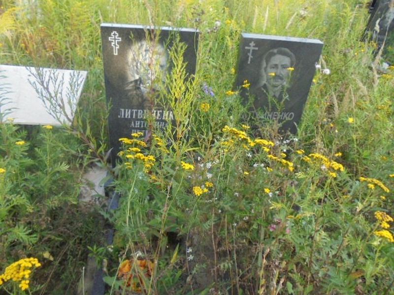 Литвиненко Антонина Петровна