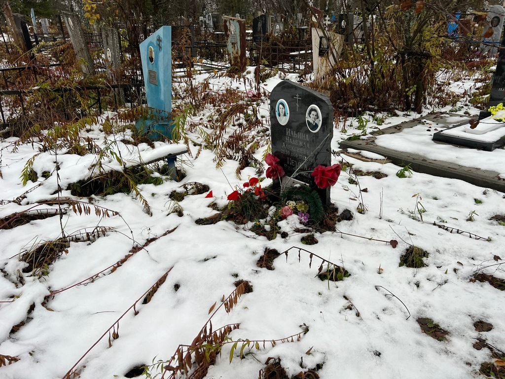 Ильина Надежда Алексеевна