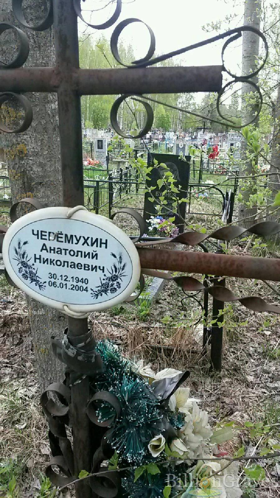 черемухин анатолий николаевич