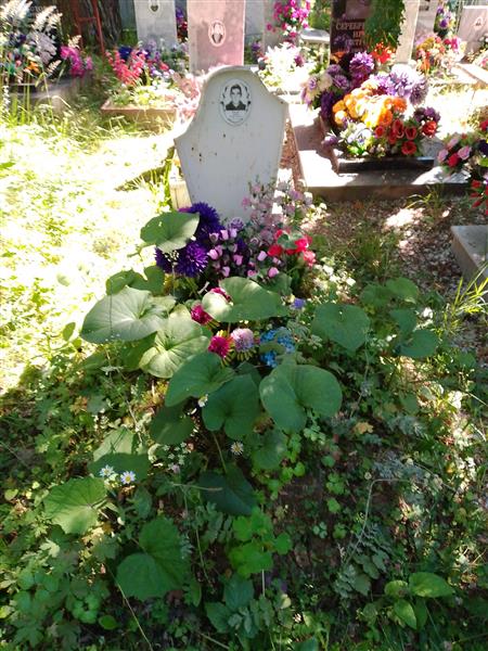 Иликаев Андрей Владиславович