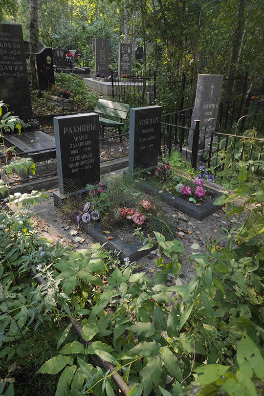 Лебедев Николай Васильевич