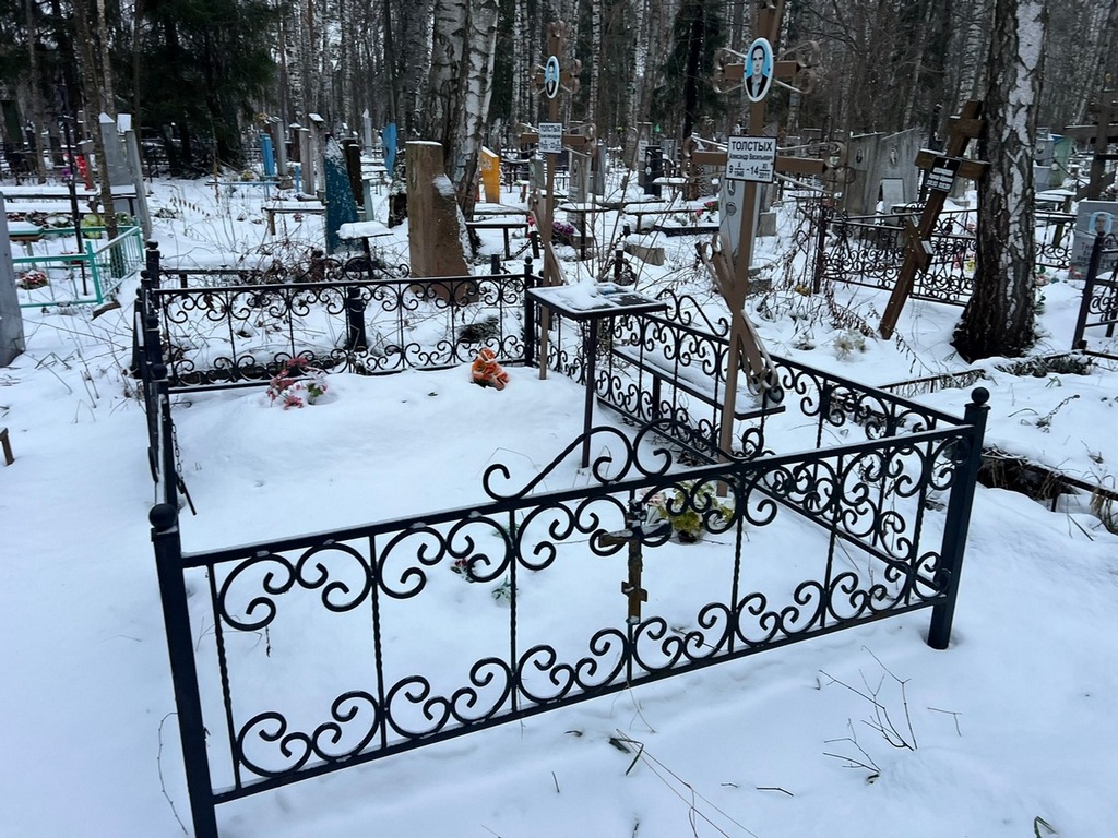 Толстых Александр Васильевич
