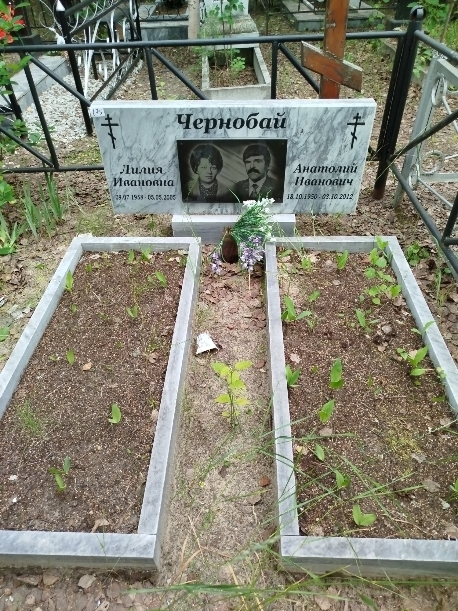 Чернобай Анатолий Иванович