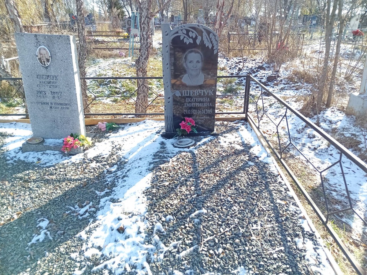 Шевчук Екатерина Дмитриевна